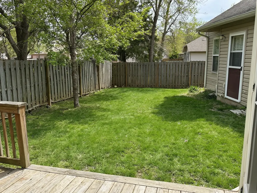 Vegetable garden layout planner result: three raised beds with vegetables on a backyard lawn before AI redesign