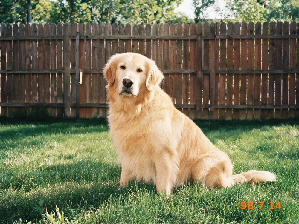 Before: '98 7 14 stamp